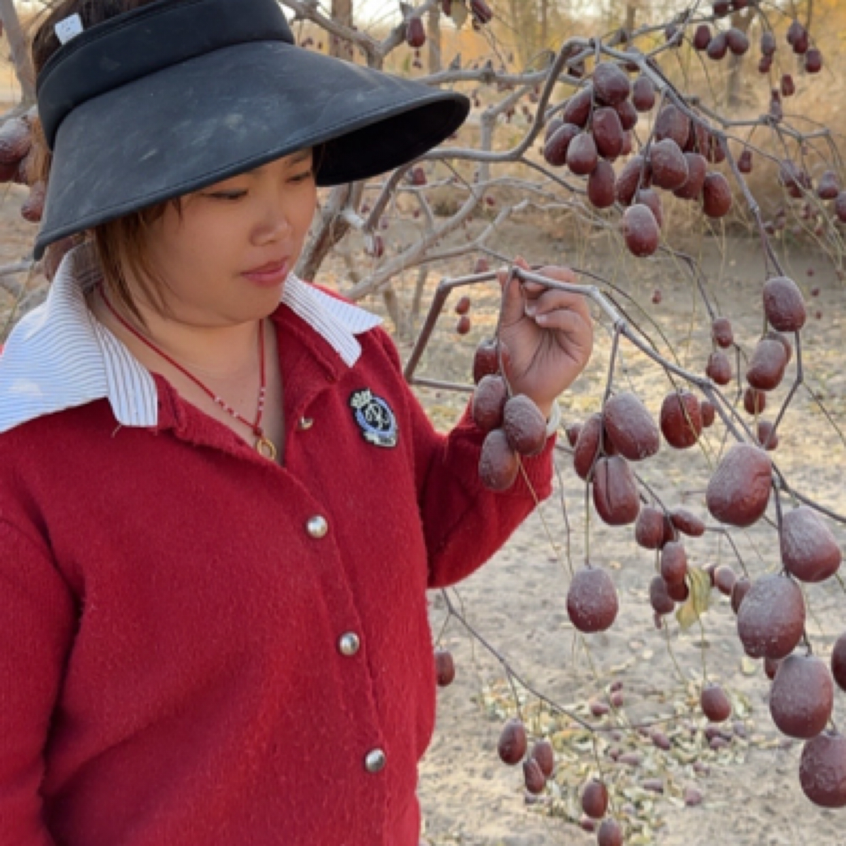 新疆和田原生态大枣精品二三级混级（3-3.5厘米左右，八九成干）