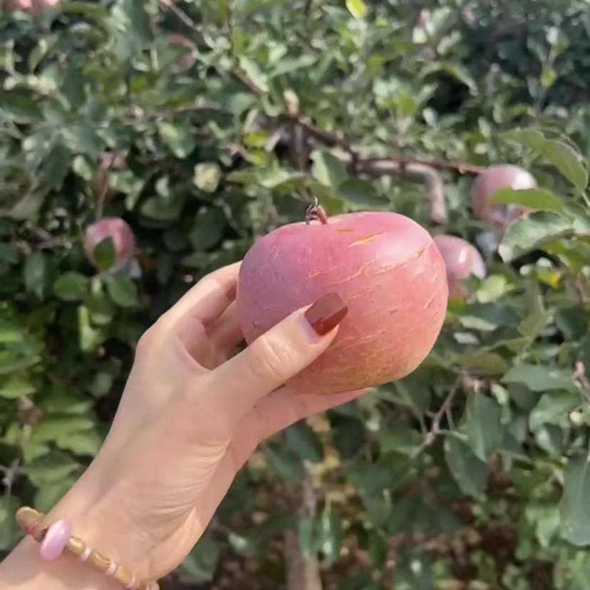 邵原富硒红富士苹果