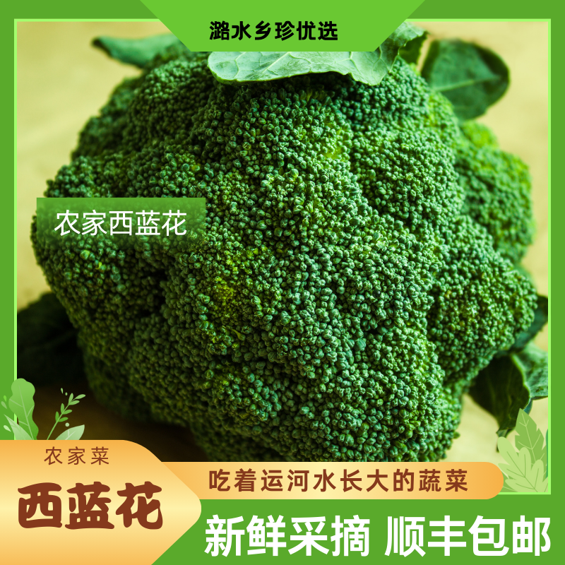 【顺丰包邮】西蓝花鲜优质5斤新鲜采摘孩子吃身材管理吃