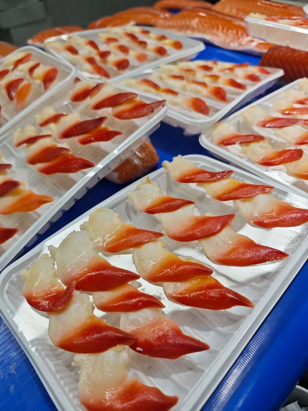 15片装北极贝刺身新鲜 海鲜