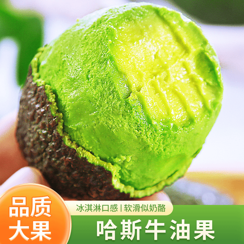 【牛油果】正宗云南哈斯牛油果新鲜采摘孕妇宝妈水果宝宝辅食