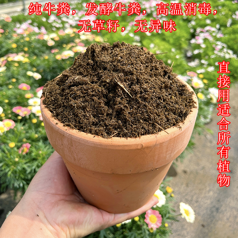 纯牛粪发酵牛粪营养土(收到直接用 高温消毒 无草籽 无异味)花肥