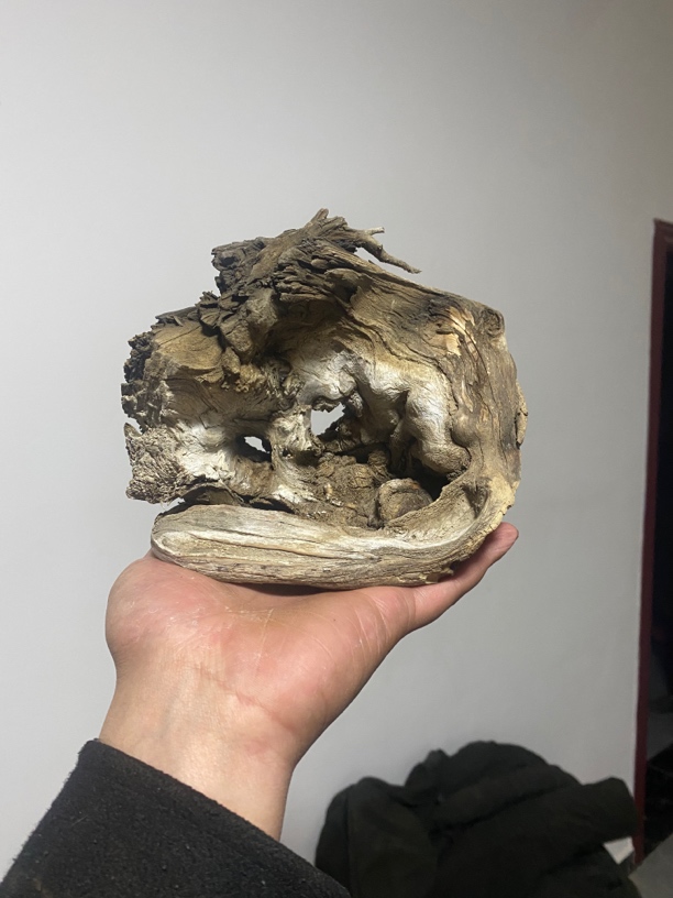 太行崖啊柏链接，单独拍不发货