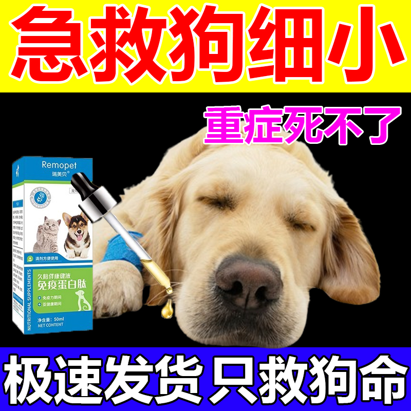 狗细小病毒翻肠子犬瘟细小感冒发烧呕吐拉血抽搐单抗干扰素瑞美贝
