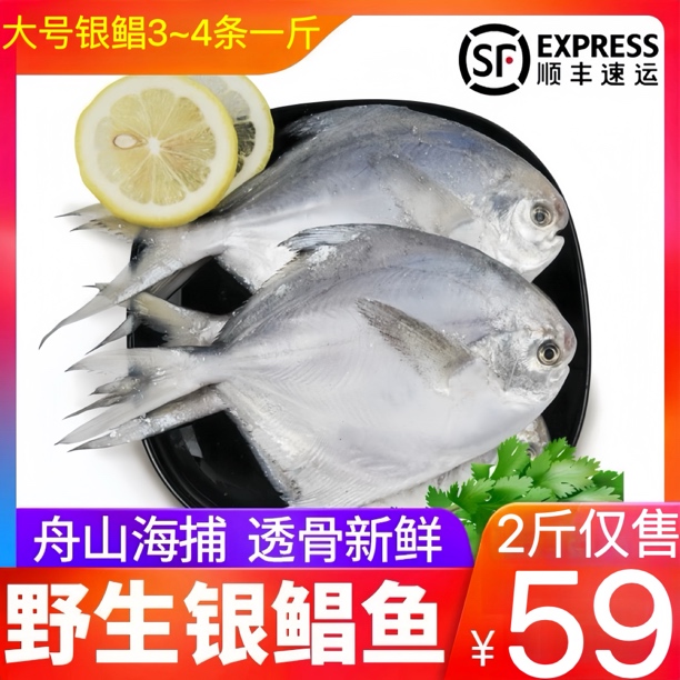 特大鲜活冷冻海捕细嫩银鲳鱼 2 斤 新鲜营养美味捕捞团购套餐发货