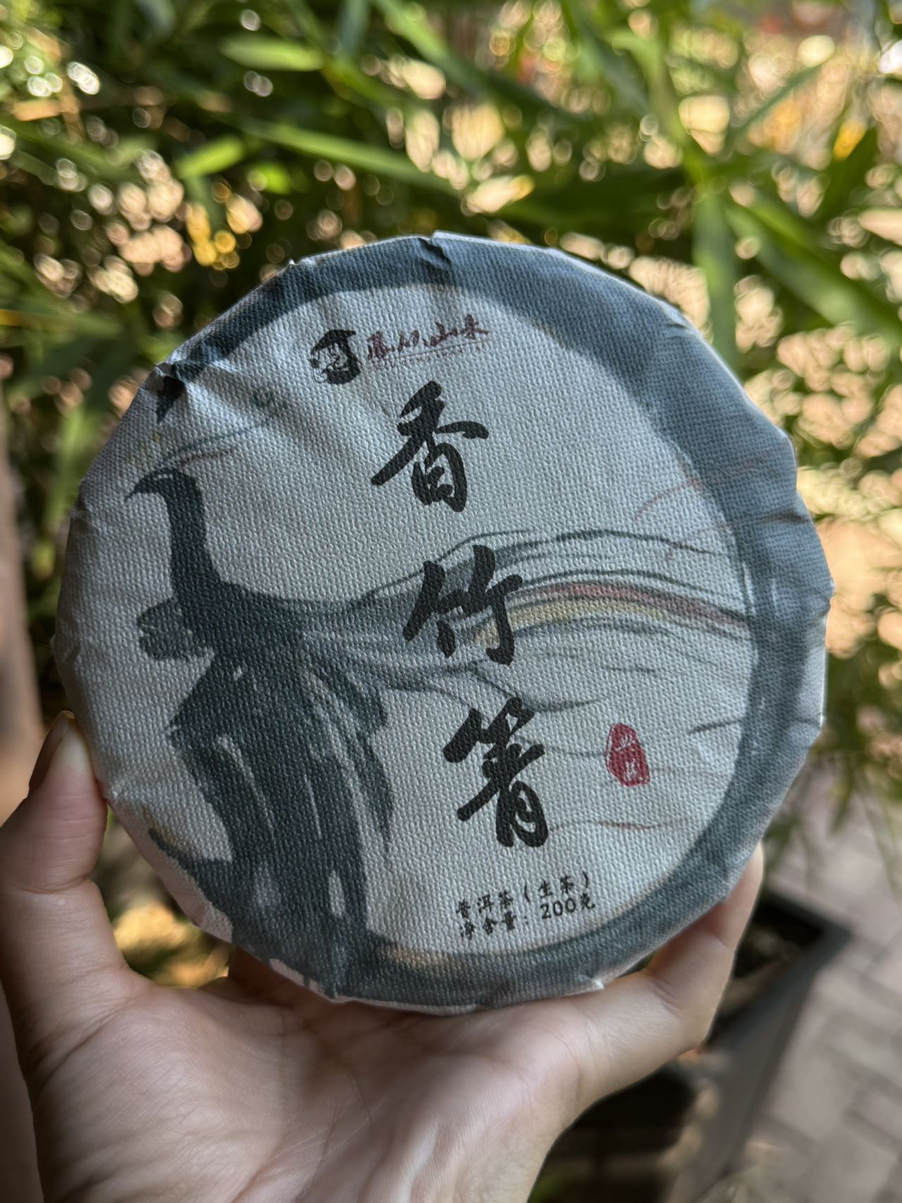 【鳳从山来】2022年香竹箐 200g普洱生茶