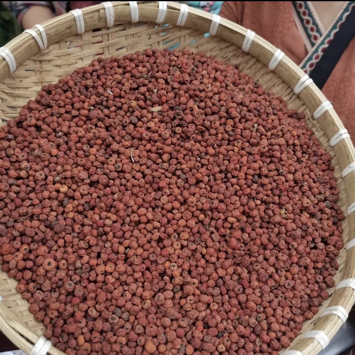 【姝1】初级农产品【紫·衫·果】250g/ 500g可搭配枸杞使用