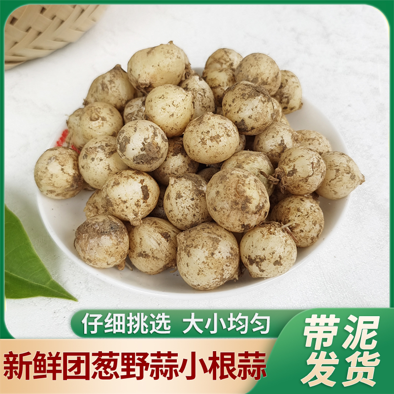 新鲜苦藠山葱薤白团葱小蒜小根蒜苦茭头特产农家种植煲汤炒菜腌制