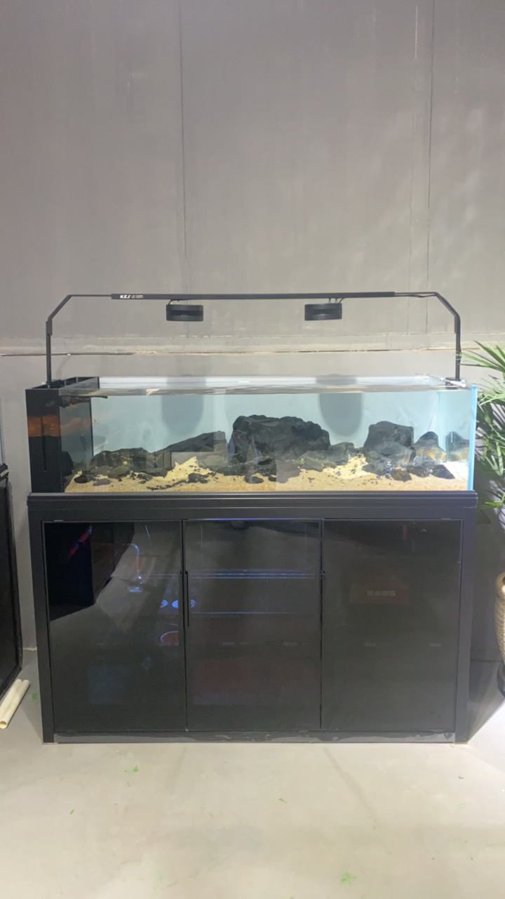 溪流缸一体家用客厅鱼缸鱼缸底滤极简黑专拍