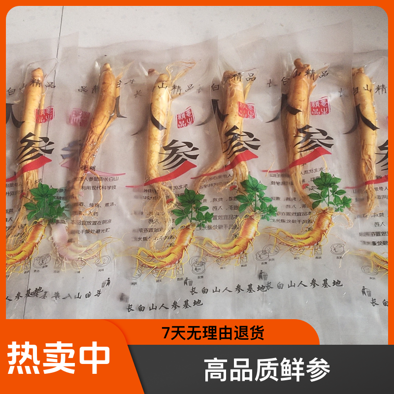 长白山保鲜人参保鲜参食用泡酒