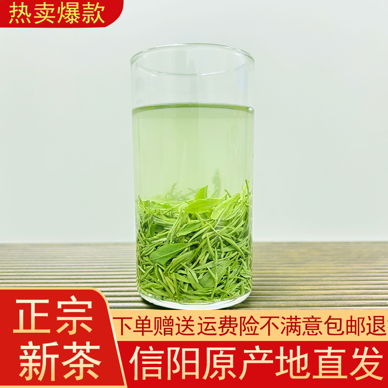 雨前毛尖信阳毛尖2025新茶雨前口感醇香浓香办公室口粮茶耐泡