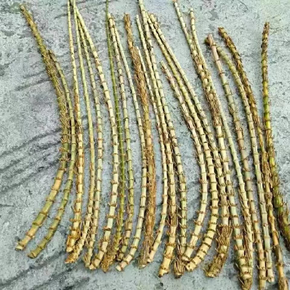 竹根竹鞭实心老竹根密节竹根手工路亚抄网原材料竹编烟斗原材料