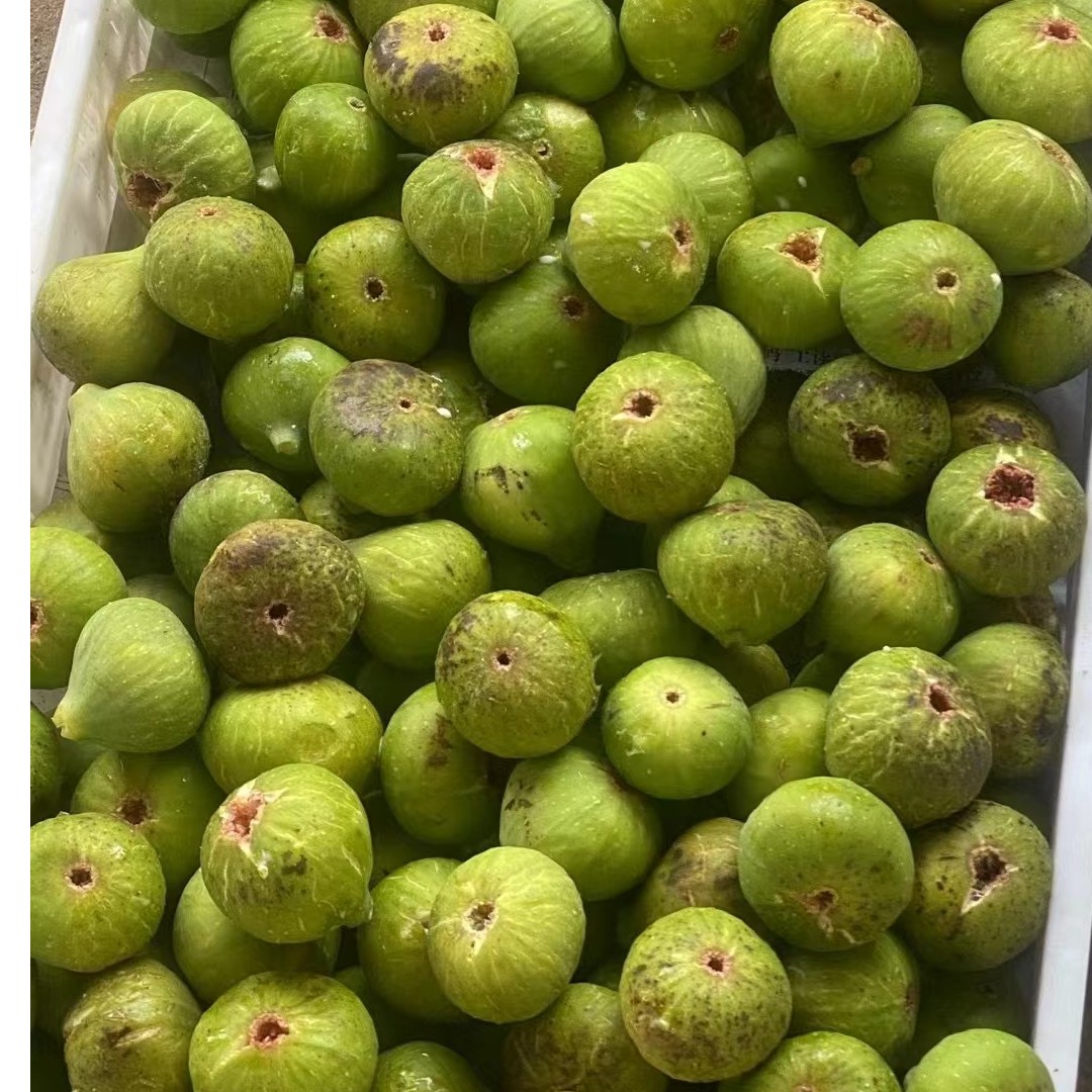 威海绿皮无花果一份3斤