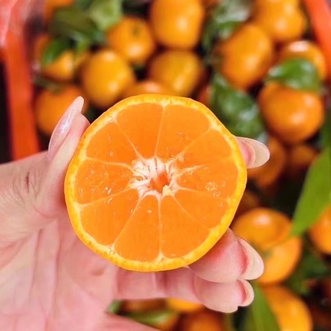 《老三严选》云南小红果砂糖蜜桔一箱3斤 包邮