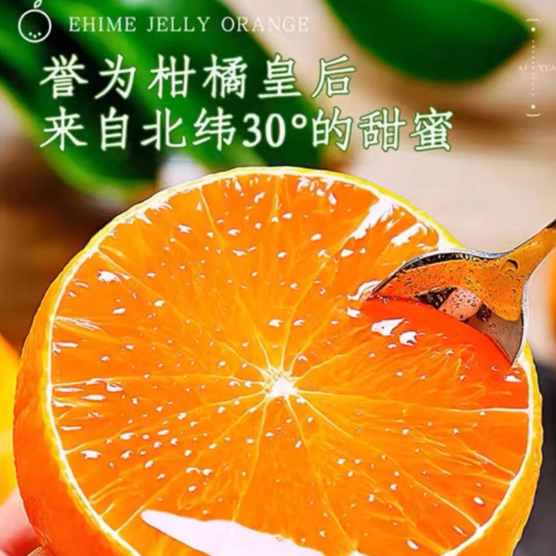 《老三严选》云南明日见柑橘带箱2.5斤  春季新鲜水果 包邮