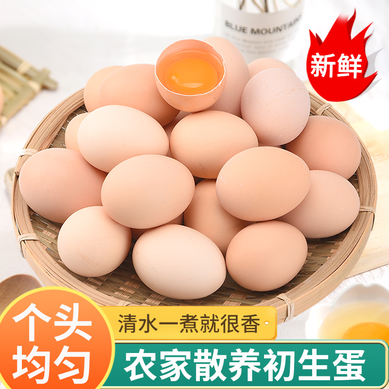 【爆款】单枚45-50g农家散养谷物鲜鸡蛋土鸡蛋月子蛋现捡现发的鸡蛋