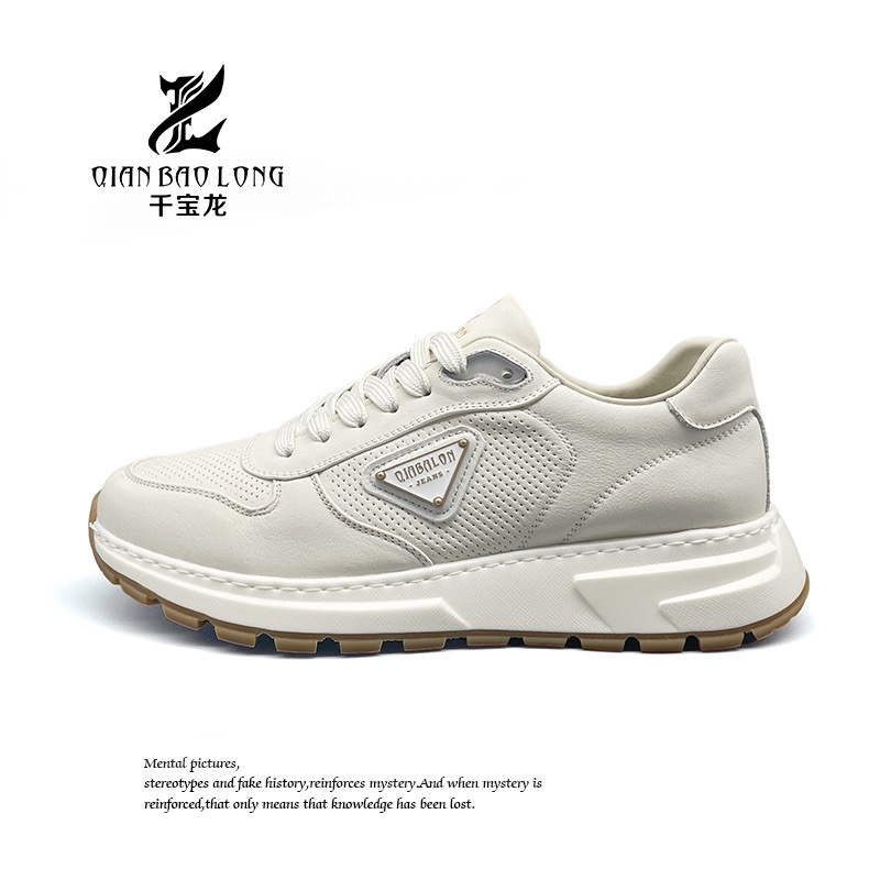 千宝龙男鞋新款休闲鞋A17-24331（9号）