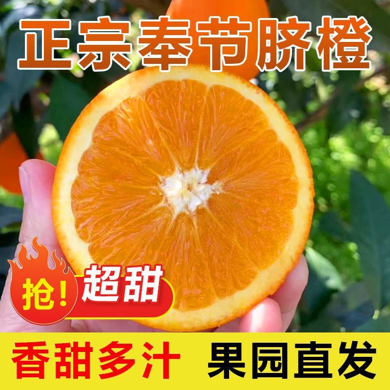 正宗重庆奉节72-1脐橙现摘现发10斤