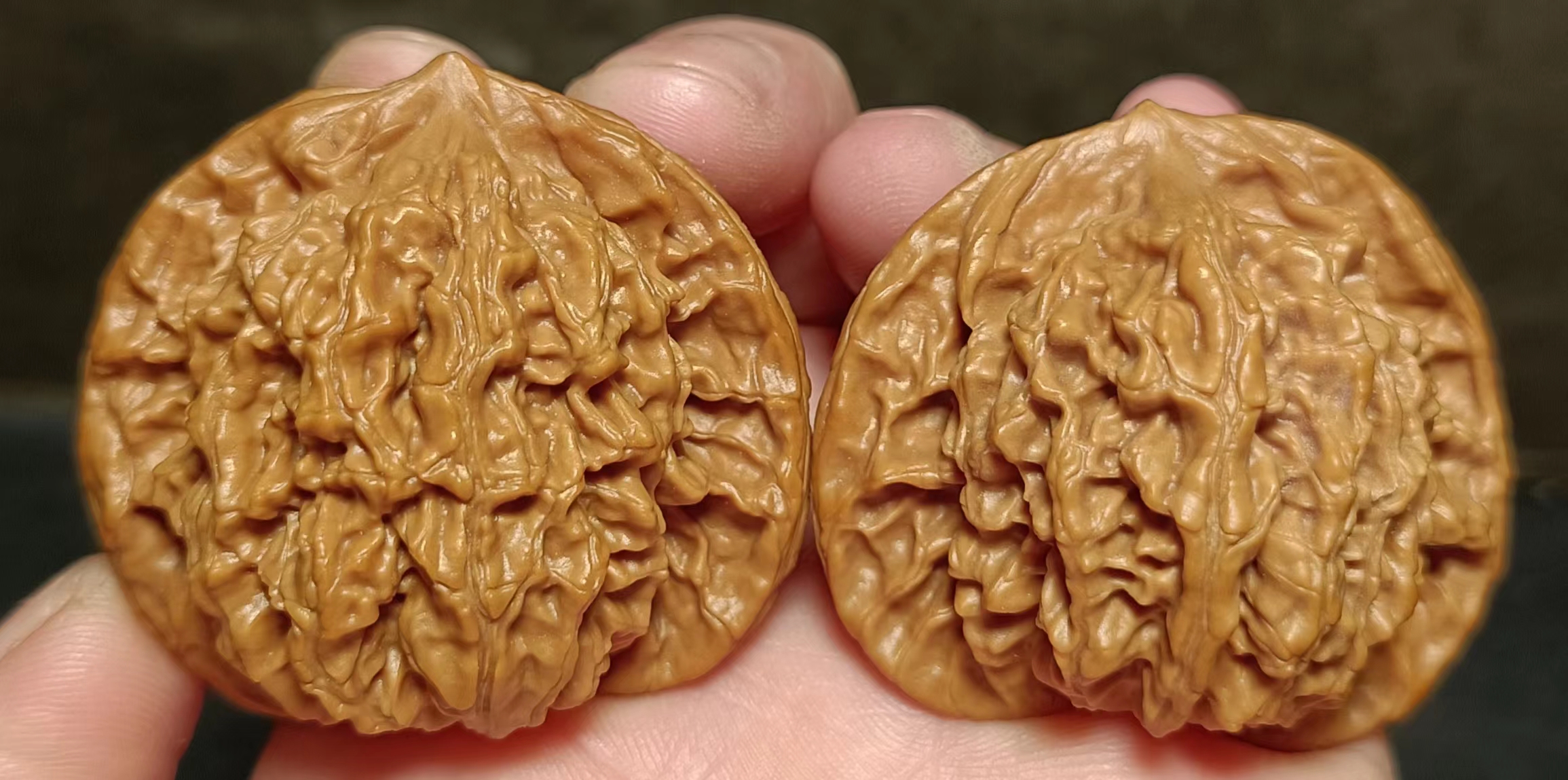 练手对文玩核桃品种随机