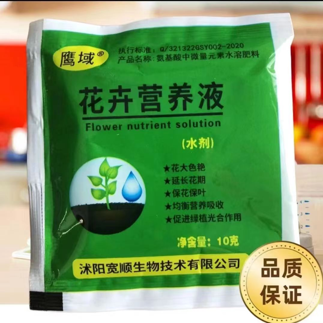红梅干支年宵花营养液