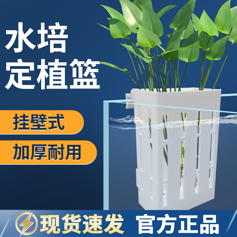 鱼缸水培定植篮壁挂式水草杯植物固定支架造景装饰配件小鹏说水族