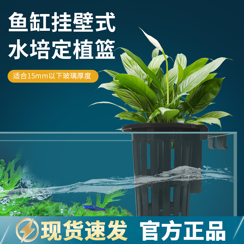鱼缸水培定植篮壁挂式水草杯圆形植物固定支架造景装饰配件
