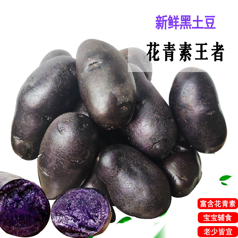甘肃黑土豆新鲜紫土豆5斤包邮紫色马铃薯含花青素蔬菜乌洋芋