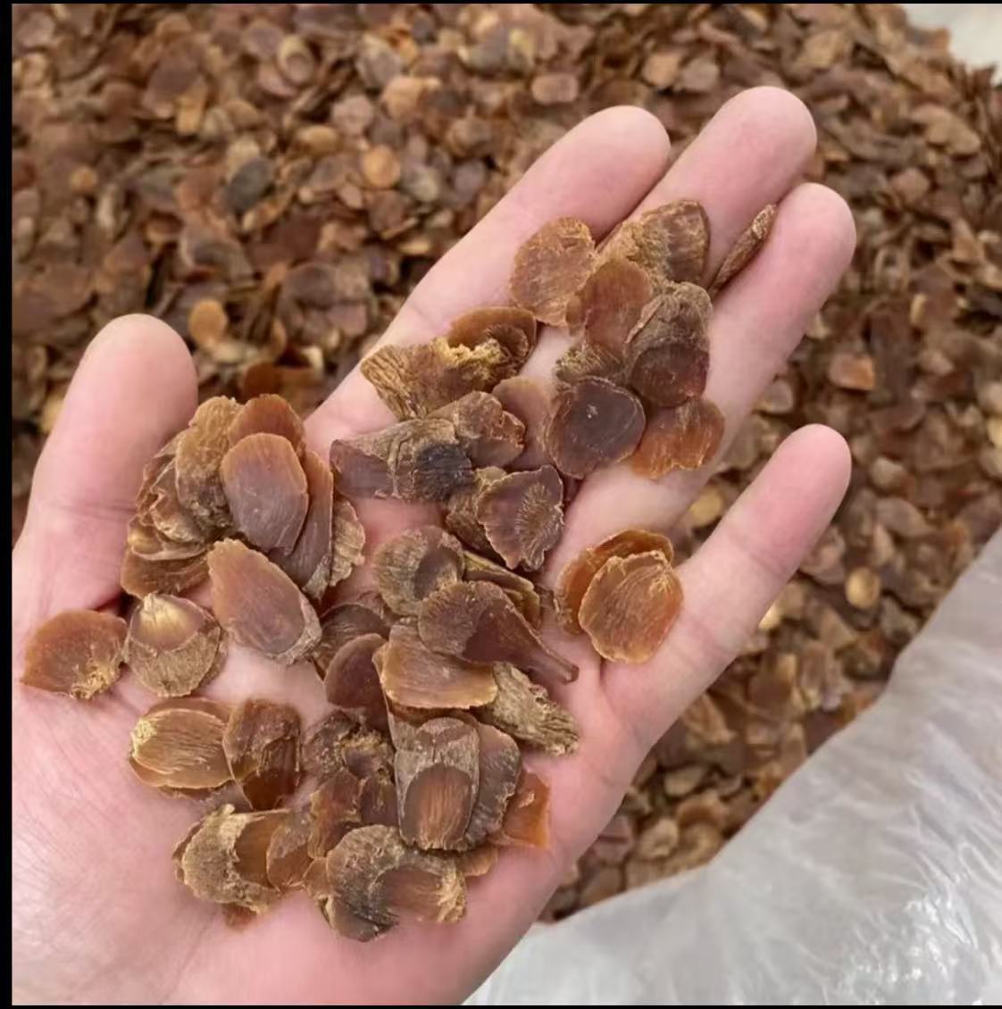 网红“高丽参” 红参头尾片