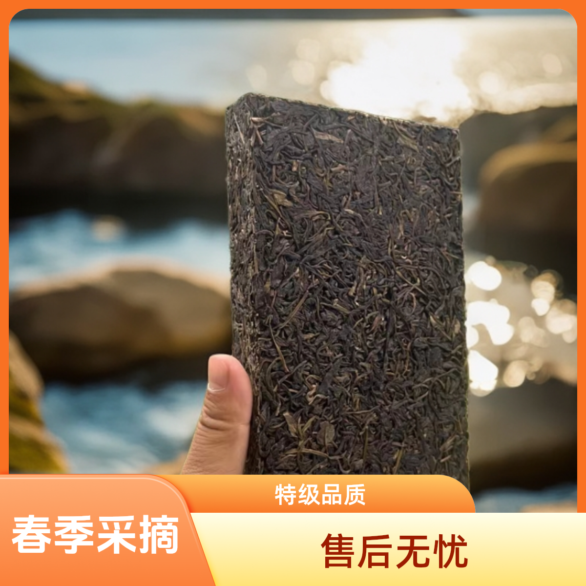 林下老树安化黑砖茶（拍6发7）（拍16发19）