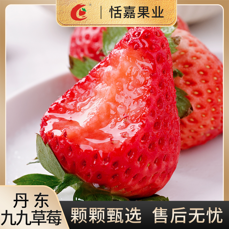 【空运包邮】正宗丹东九九草莓0.9-2.8斤产地直发新鲜红颜丹东草莓