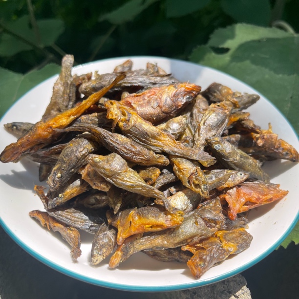 桂林特产干货火赔烟熏鱼干桂鱼干鱼仔小鱼干小丑鱼呆子鱼下酒菜