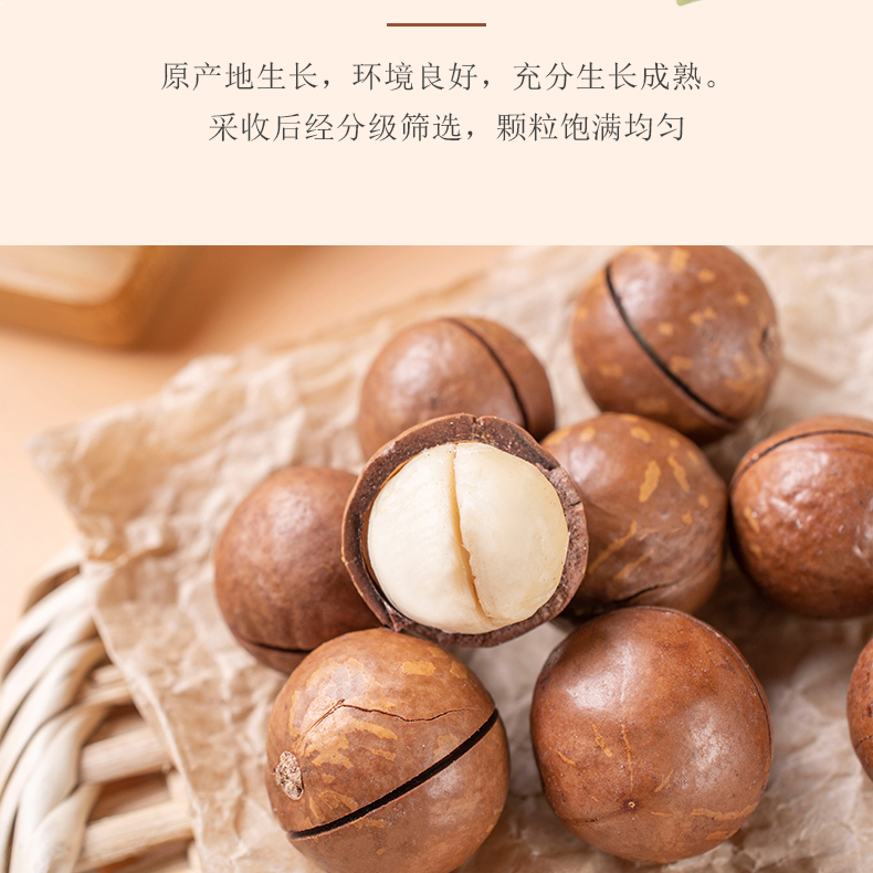 夏威夷果新货大颗粒精选营养奶香酥脆新鲜品质食用饱满美味零食