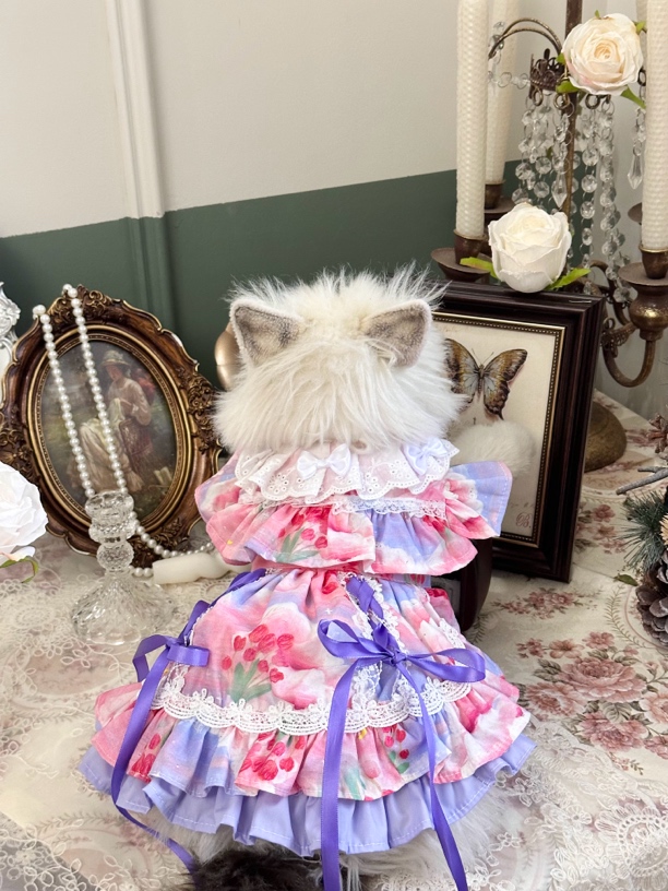 AW油画绑带系列天空云朵甜妹约会宠物服装猫猫狗狗花朵蕾丝布偶猫