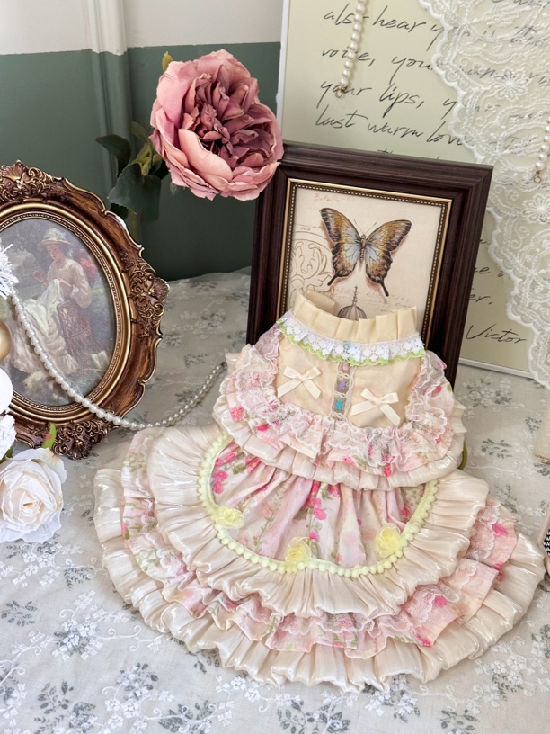 AW流光粉色缎面玫瑰宠物服装马尔济斯犬布偶秋款少女可爱聚会裙兔