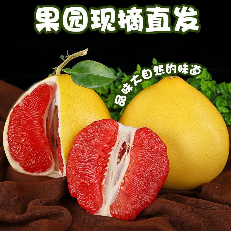 正宗福建平和琯溪老树红心蜜柚2.8斤/5斤/9斤装新鲜柚子清甜多汁