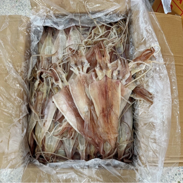 本港鱿鱼干烧烤商用淡干送礼佳品海鲜干货一斤