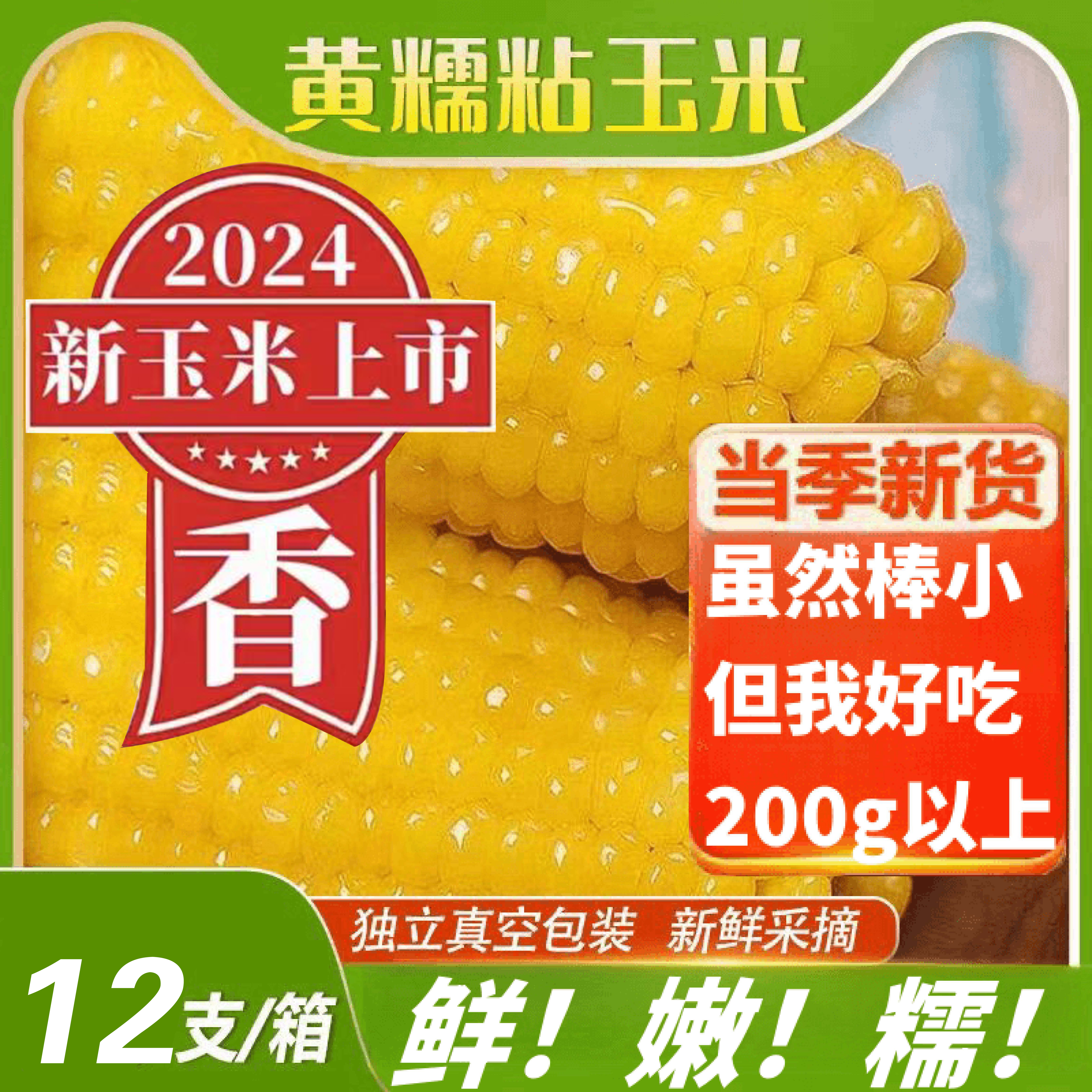 【试吃俩棒】东北头茬黄糯玉米真空包装单根不低于200g拍8送4共12棒
