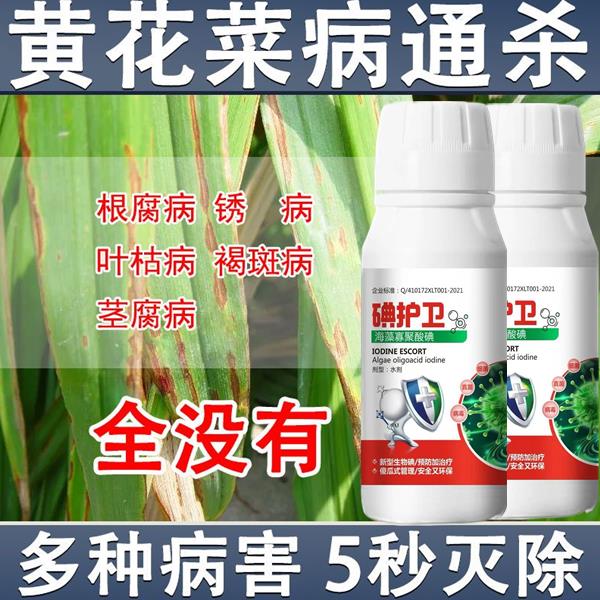 黄花菜锈病剂黄花菜锈病药农药锈病药炭疽病灰斑病蔓枯病