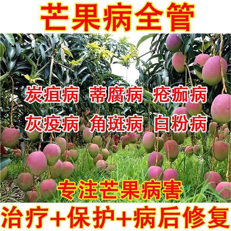 芒果专用药芒果病全杀芒果治病杀菌剂炭疽病蒂腐病疮痂病灰疫病细