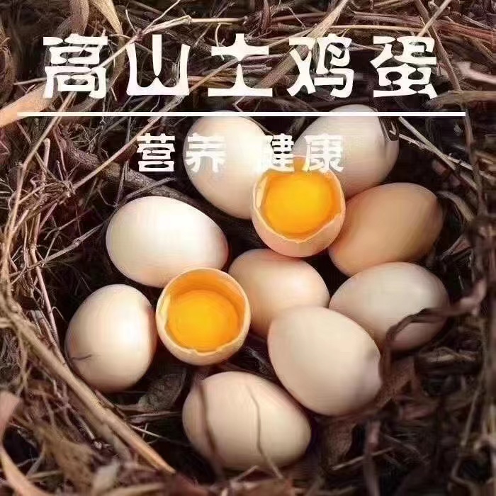 （爱鱼者甄选）千岛湖高山土鸡蛋50颗礼盒装