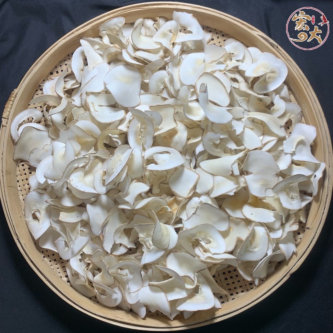 海底业 煲汤椰香【鸡哥鱼胶福利】