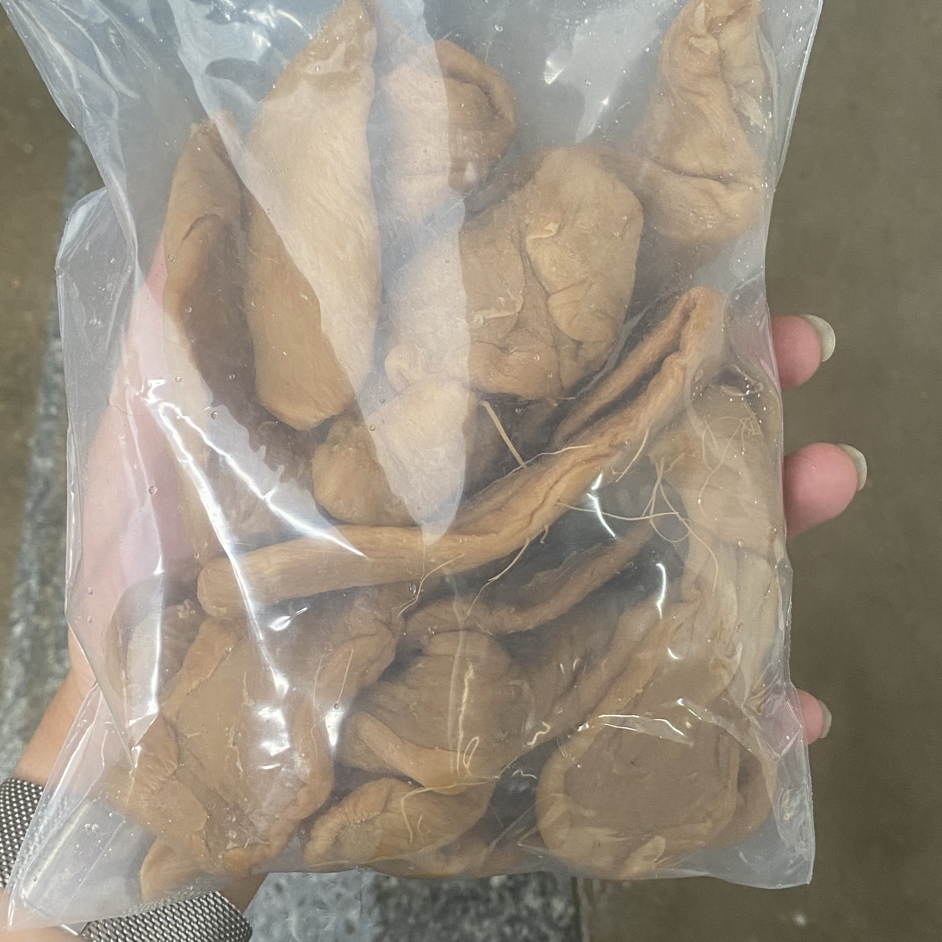本地菜铺【啊南鱼胶福利】