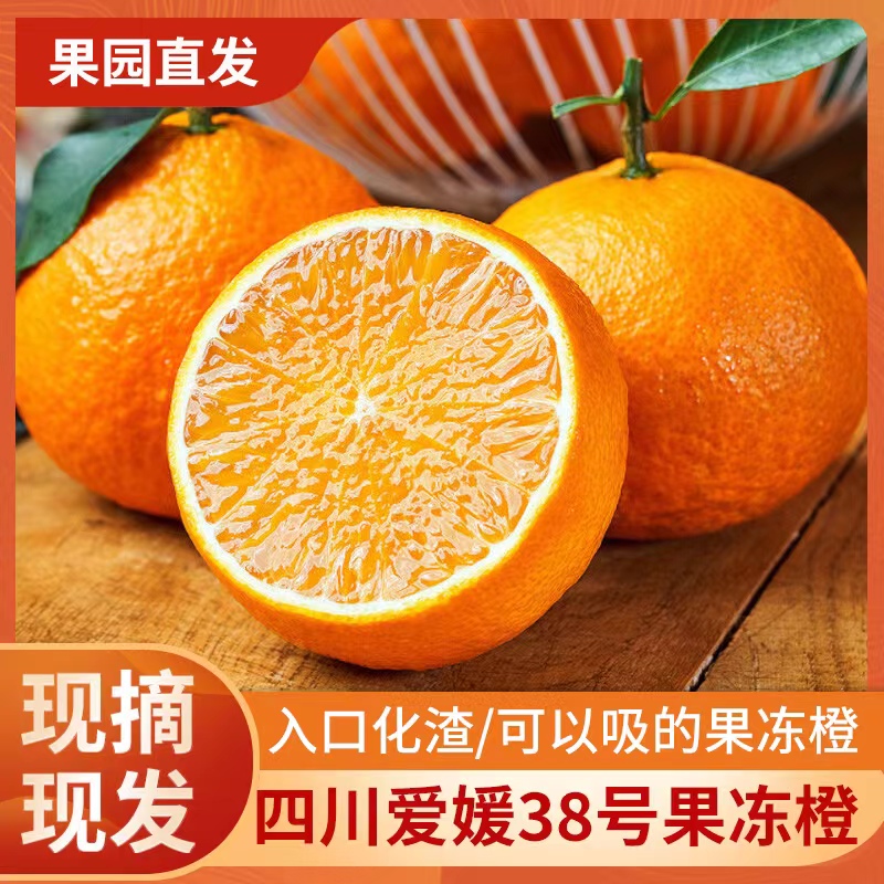 江乐果四川正宗爱媛38号果冻橙子4/5/8新鲜水果爆汁现采现发香甜