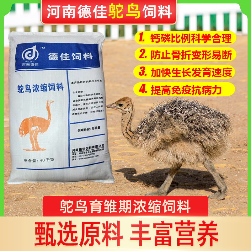 河南德佳 鸵鸟育雏期，育成期浓缩饲料80斤