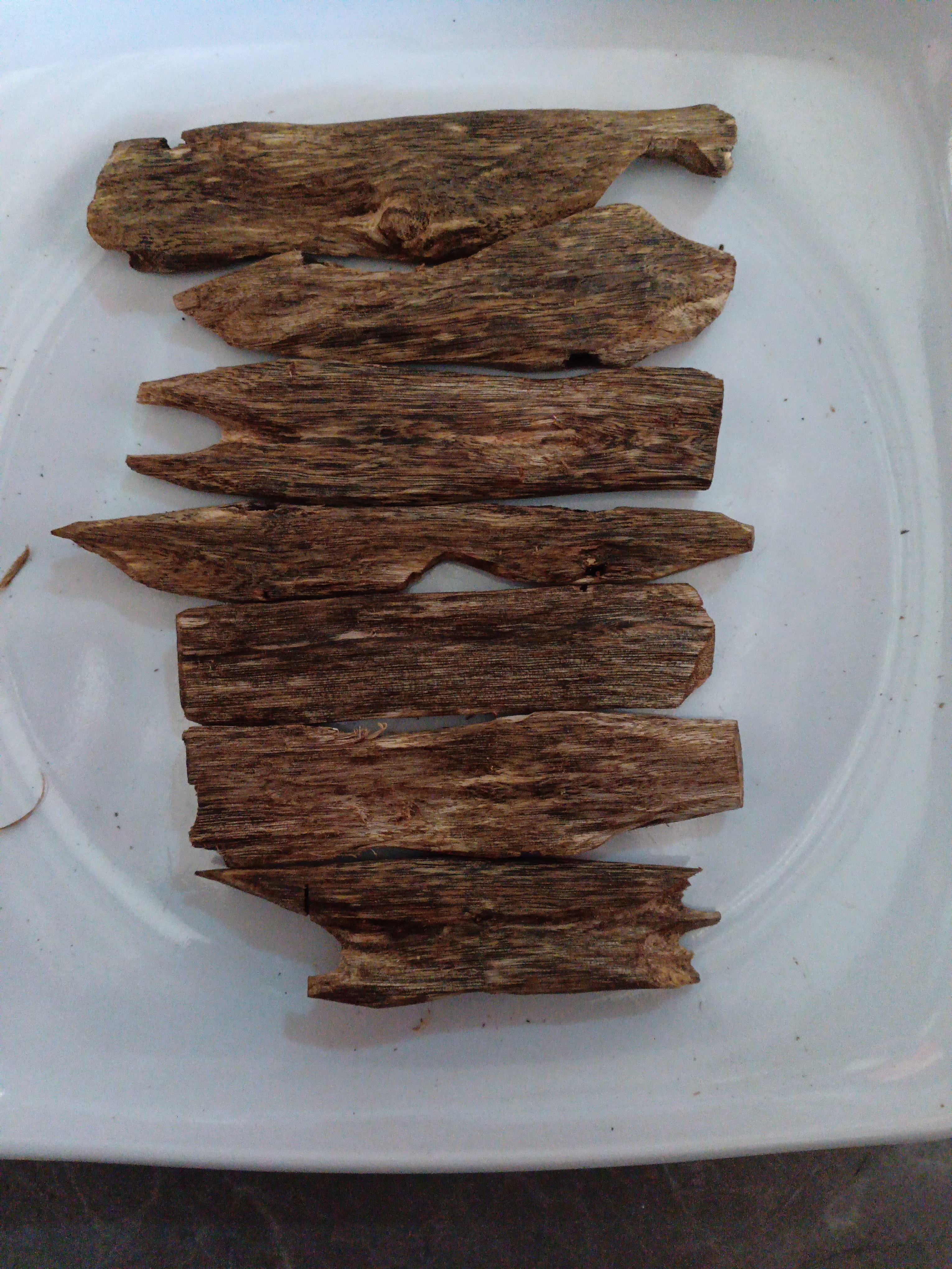 棋楠木香长片油质高80克装