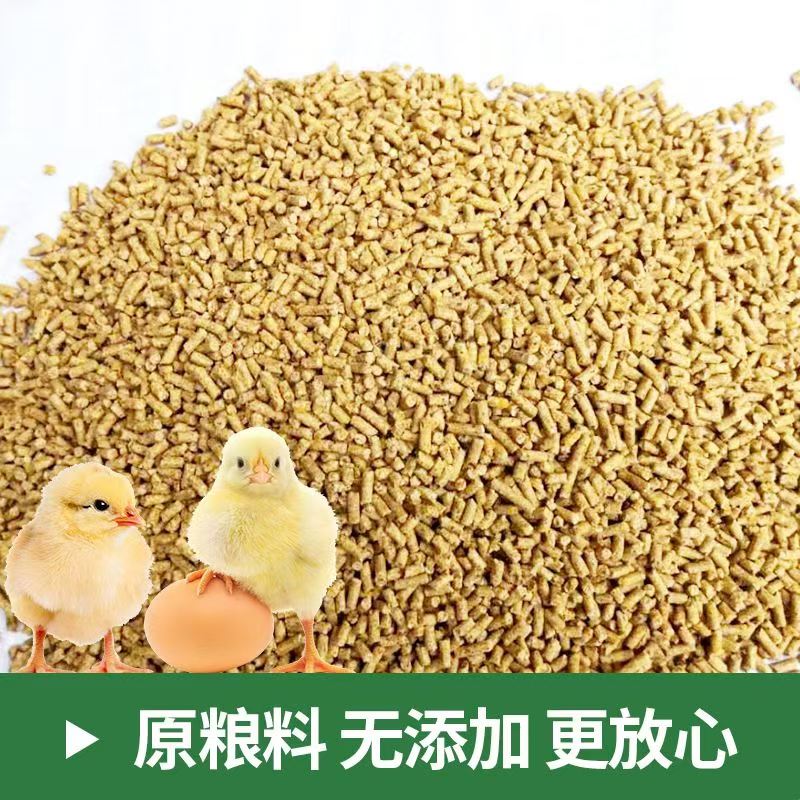 小鸡养殖开口饲料