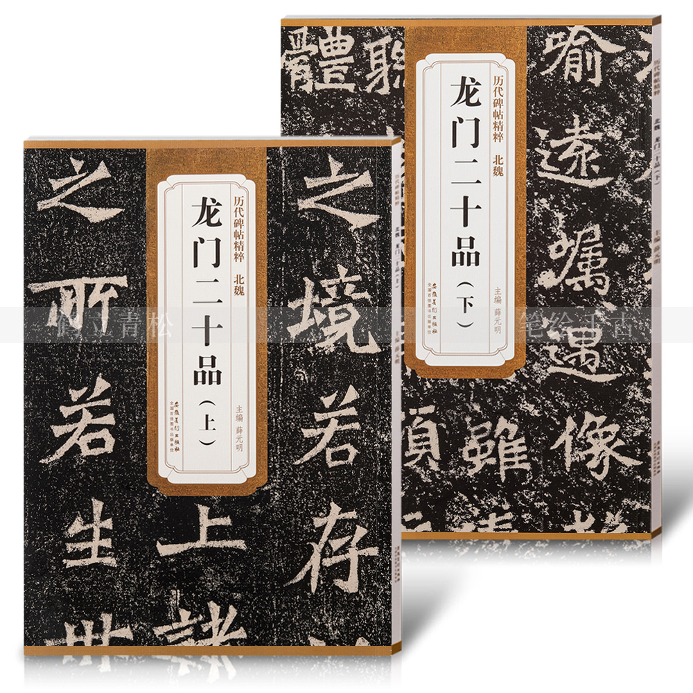 北魏龙门二十品 上下 历代碑帖 薛元明编 附译文 安徽美术出版社