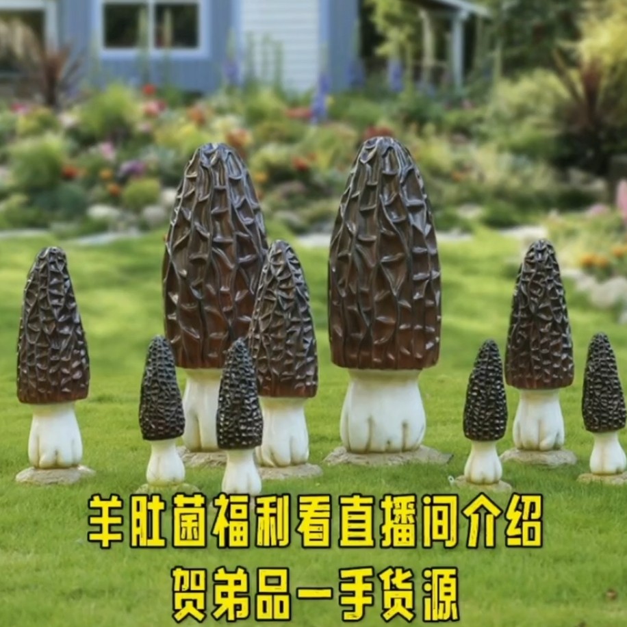 一斤【多价格链接】羊肚菌福利款看直播间介绍