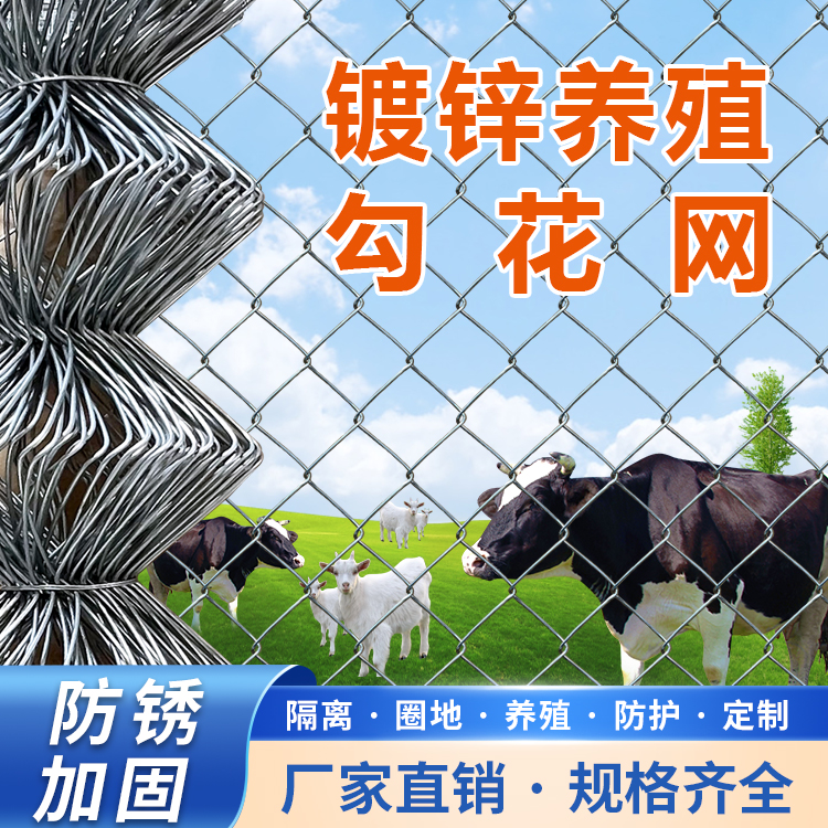 6孔勾花网热镀锌养殖围网 猪牛羊围栏网 防护果园农林牧业 隔离网