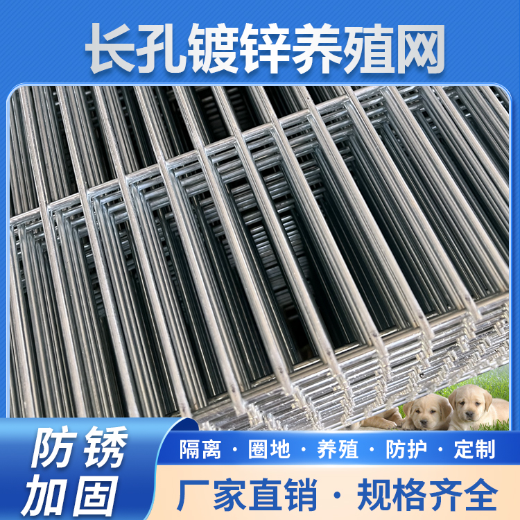 2.5X10孔 鸭笼鹅笼小狗笼 宠物笼 养殖网 隔离网 镀锌网片 防生锈